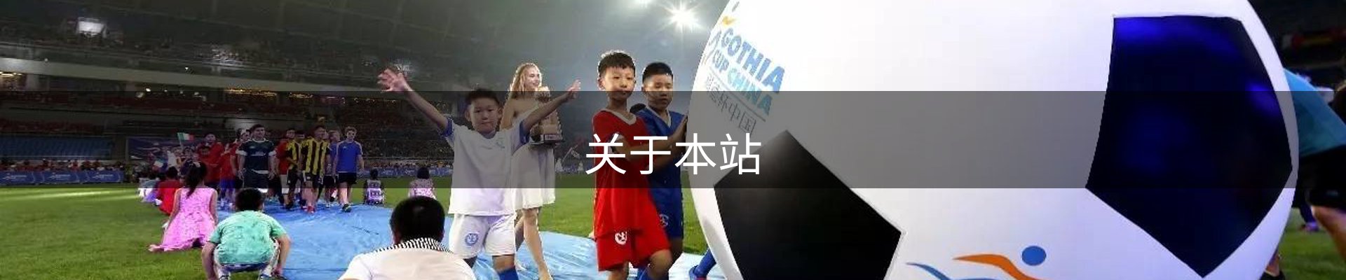 关于本站