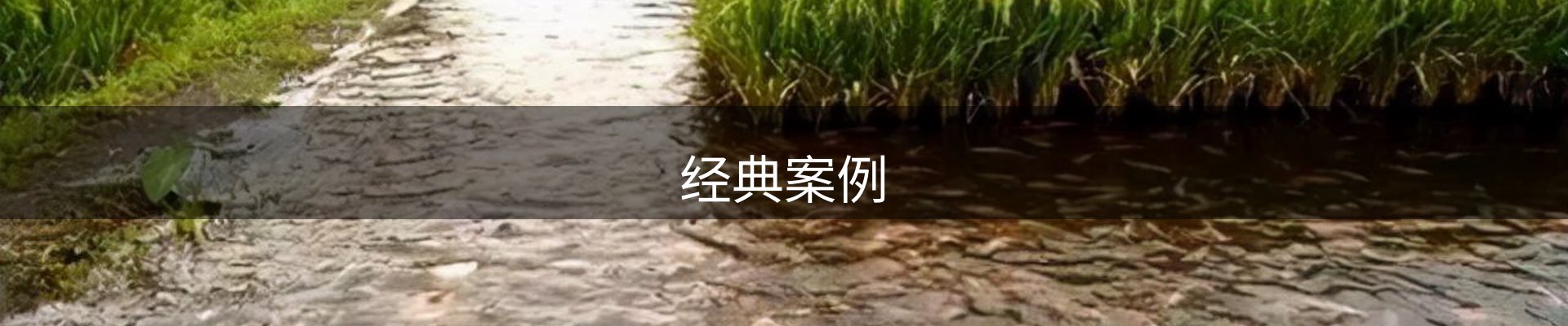 经典案例